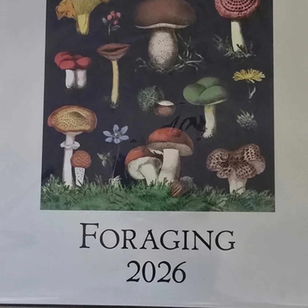 Foraging 2026 Calendar with Mushroom Illustrations